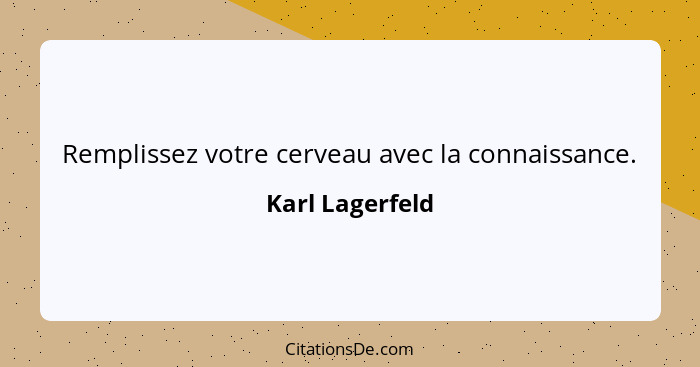 Remplissez votre cerveau avec la connaissance.... - Karl Lagerfeld