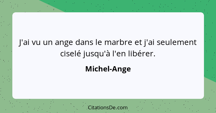 J'ai vu un ange dans le marbre et j'ai seulement ciselé jusqu'à l'en libérer.... - Michel-Ange