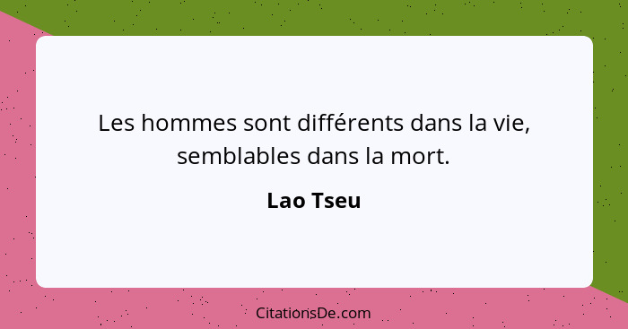 Les hommes sont différents dans la vie, semblables dans la mort.... - Lao Tseu