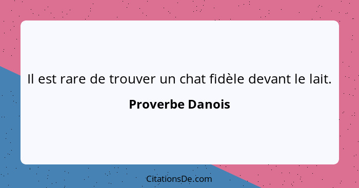 Il est rare de trouver un chat fidèle devant le lait.... - Proverbe Danois