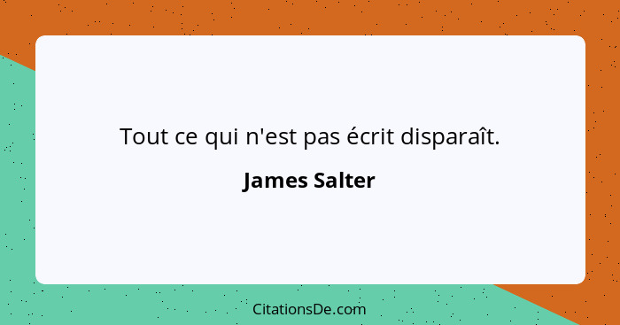 Tout ce qui n'est pas écrit disparaît.... - James Salter