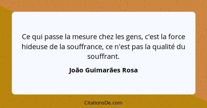 Ce qui passe la mesure chez les gens, c'est la force hideuse de la souffrance, ce n'est pas la qualité du souffrant.... - João Guimarães Rosa