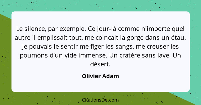 Le silence, par exemple. Ce jour-là comme n'importe quel autre il emplissait tout, me coinçait la gorge dans un étau. Je pouvais le sen... - Olivier Adam