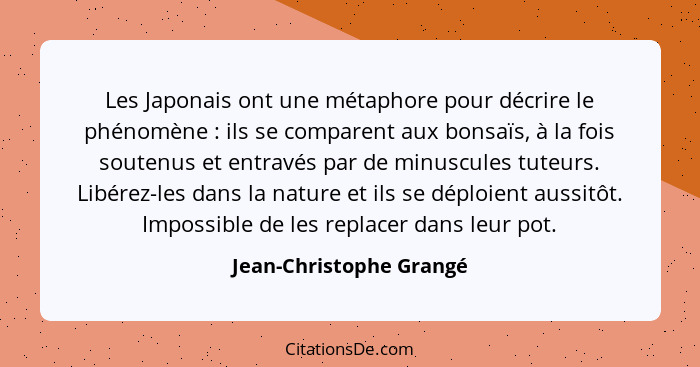 Les Japonais ont une métaphore pour décrire le phénomène : ils se comparent aux bonsaïs, à la fois soutenus et entravés... - Jean-Christophe Grangé