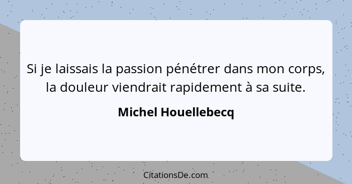 Si je laissais la passion pénétrer dans mon corps, la douleur viendrait rapidement à sa suite.... - Michel Houellebecq