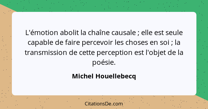 L'émotion abolit la chaîne causale ; elle est seule capable de faire percevoir les choses en soi ; la transmission de c... - Michel Houellebecq