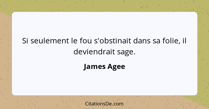 Si seulement le fou s'obstinait dans sa folie, il deviendrait sage.... - James Agee