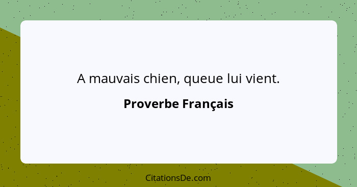 A mauvais chien, queue lui vient.... - Proverbe Français