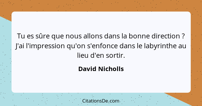 Tu es sûre que nous allons dans la bonne direction ? J'ai l'impression qu'on s'enfonce dans le labyrinthe au lieu d'en sortir.... - David Nicholls