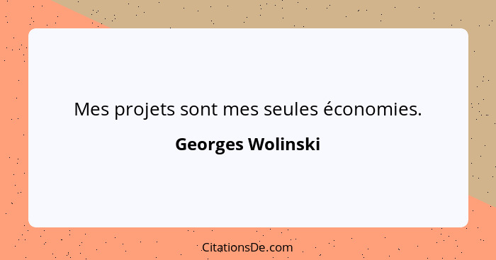 Mes projets sont mes seules économies.... - Georges Wolinski