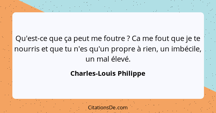 Qu'est-ce que ça peut me foutre ? Ca me fout que je te nourris et que tu n'es qu'un propre à rien, un imbécile, un mal é... - Charles-Louis Philippe