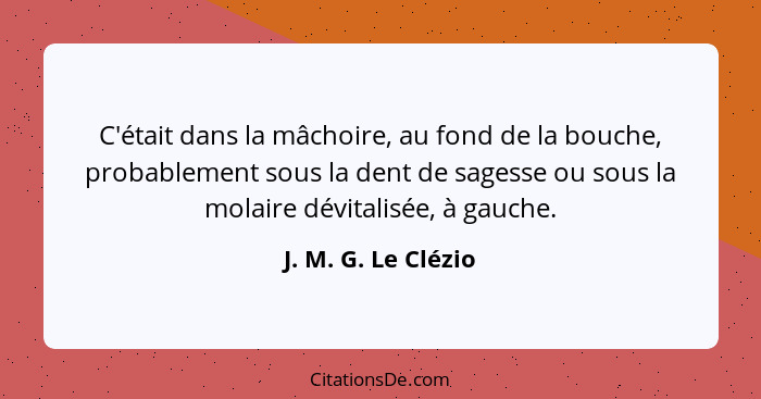 C'était dans la mâchoire, au fond de la bouche, probablement sous la dent de sagesse ou sous la molaire dévitalisée, à gauche.... - J. M. G. Le Clézio