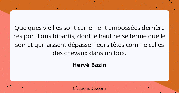 Quelques vieilles sont carrément embossées derrière ces portillons bipartis, dont le haut ne se ferme que le soir et qui laissent dépass... - Hervé Bazin