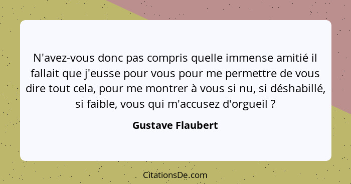 N'avez-vous donc pas compris quelle immense amitié il fallait que j'eusse pour vous pour me permettre de vous dire tout cela, pour... - Gustave Flaubert