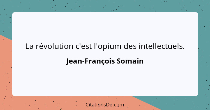 La révolution c'est l'opium des intellectuels.... - Jean-François Somain