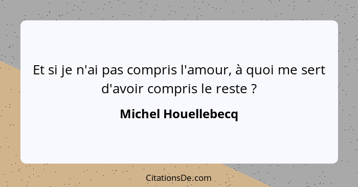 Et si je n'ai pas compris l'amour, à quoi me sert d'avoir compris le reste ?... - Michel Houellebecq