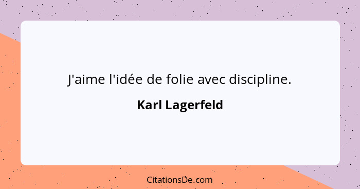 J'aime l'idée de folie avec discipline.... - Karl Lagerfeld