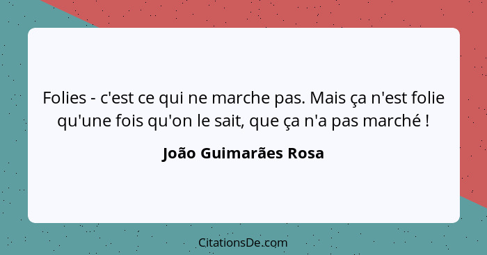 Folies - c'est ce qui ne marche pas. Mais ça n'est folie qu'une fois qu'on le sait, que ça n'a pas marché !... - João Guimarães Rosa