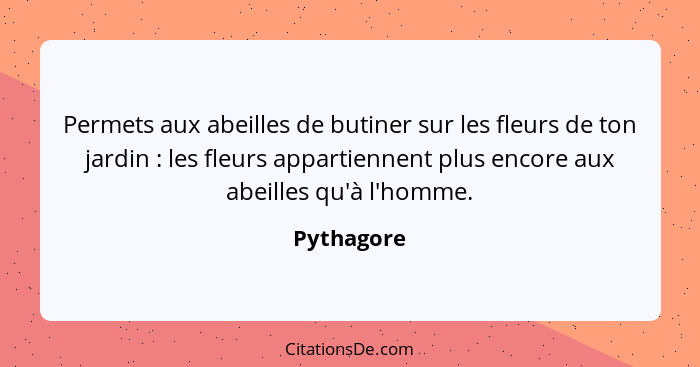 Permets aux abeilles de butiner sur les fleurs de ton jardin : les fleurs appartiennent plus encore aux abeilles qu'à l'homme.... - Pythagore