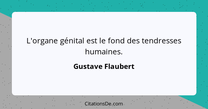 L'organe génital est le fond des tendresses humaines.... - Gustave Flaubert