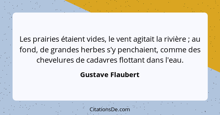 Les prairies étaient vides, le vent agitait la rivière ; au fond, de grandes herbes s'y penchaient, comme des chevelures de ca... - Gustave Flaubert