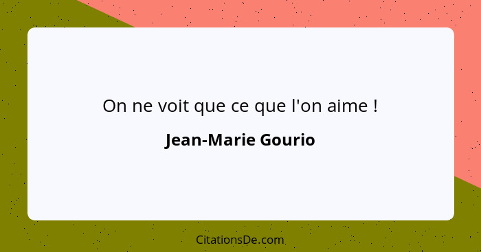 On ne voit que ce que l'on aime !... - Jean-Marie Gourio