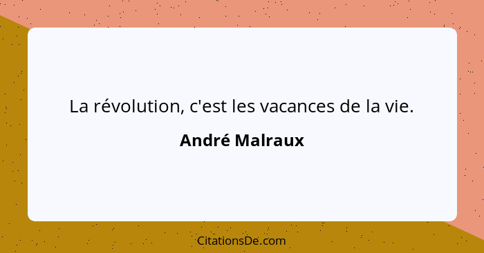 La révolution, c'est les vacances de la vie.... - André Malraux