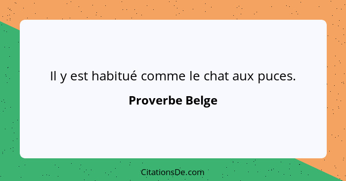 Il y est habitué comme le chat aux puces.... - Proverbe Belge