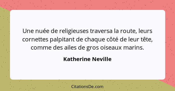 Une nuée de religieuses traversa la route, leurs cornettes palpitant de chaque côté de leur tête, comme des ailes de gros oiseaux... - Katherine Neville