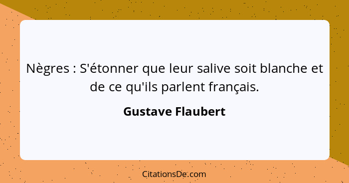 Nègres : S'étonner que leur salive soit blanche et de ce qu'ils parlent français.... - Gustave Flaubert