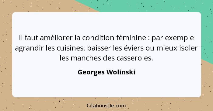 Il faut améliorer la condition féminine : par exemple agrandir les cuisines, baisser les éviers ou mieux isoler les manches de... - Georges Wolinski