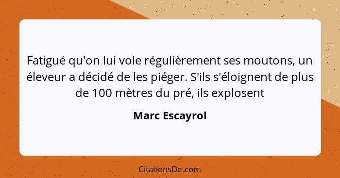 Fatigué qu'on lui vole régulièrement ses moutons, un éleveur a décidé de les piéger. S'ils s'éloignent de plus de 100 mètres du pré, i... - Marc Escayrol