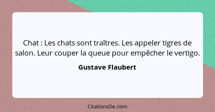 Chat : Les chats sont traîtres. Les appeler tigres de salon. Leur couper la queue pour empêcher le vertigo.... - Gustave Flaubert