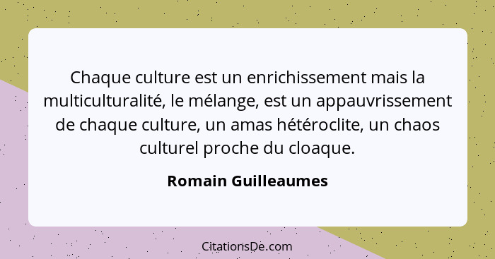Chaque culture est un enrichissement mais la multiculturalité, le mélange, est un appauvrissement de chaque culture, un amas hété... - Romain Guilleaumes