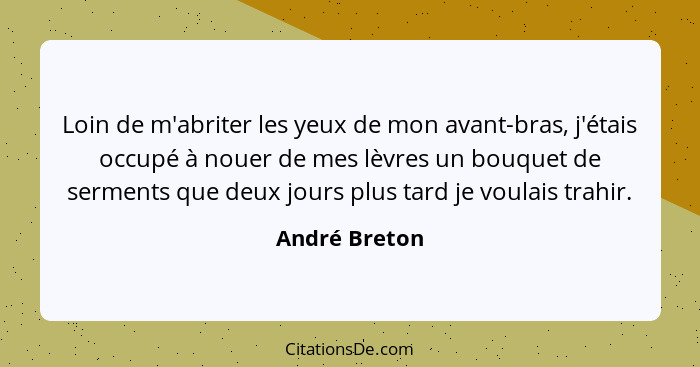 Loin de m'abriter les yeux de mon avant-bras, j'étais occupé à nouer de mes lèvres un bouquet de serments que deux jours plus tard je v... - André Breton