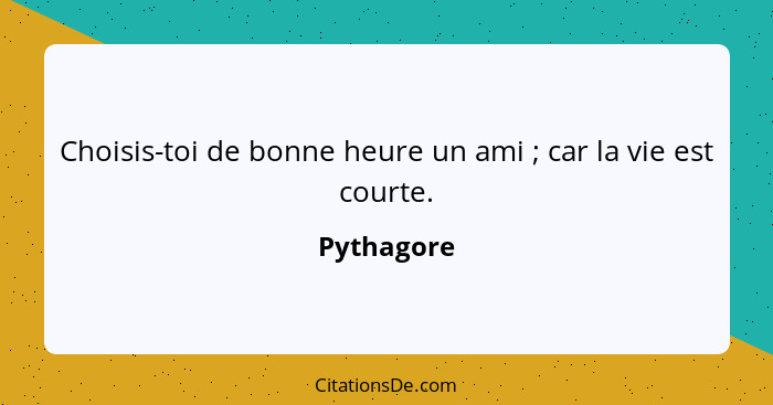 Choisis-toi de bonne heure un ami ; car la vie est courte.... - Pythagore