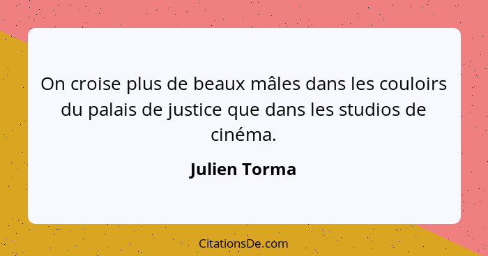 On croise plus de beaux mâles dans les couloirs du palais de justice que dans les studios de cinéma.... - Julien Torma