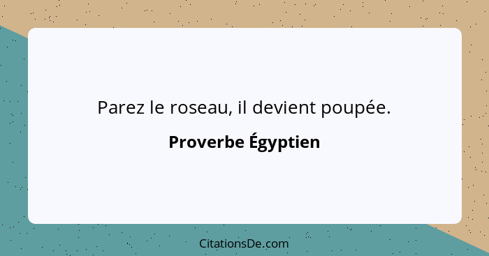 Parez le roseau, il devient poupée.... - Proverbe Égyptien