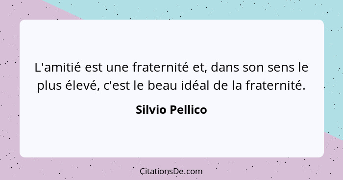 L'amitié est une fraternité et, dans son sens le plus élevé, c'est le beau idéal de la fraternité.... - Silvio Pellico