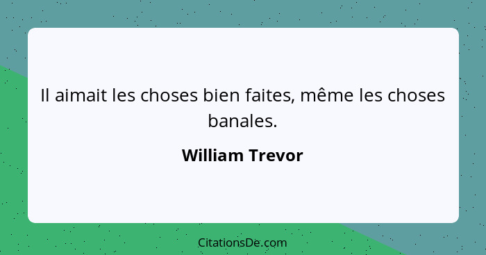 Il aimait les choses bien faites, même les choses banales.... - William Trevor