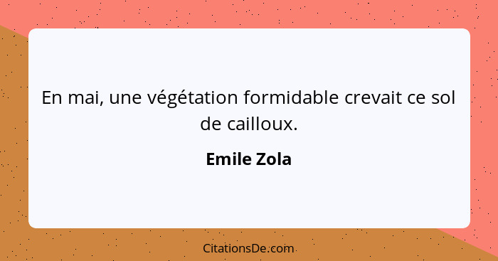 En mai, une végétation formidable crevait ce sol de cailloux.... - Emile Zola