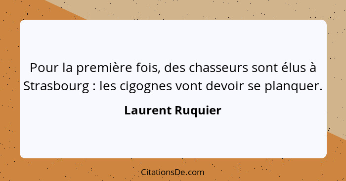 Pour la première fois, des chasseurs sont élus à Strasbourg : les cigognes vont devoir se planquer.... - Laurent Ruquier