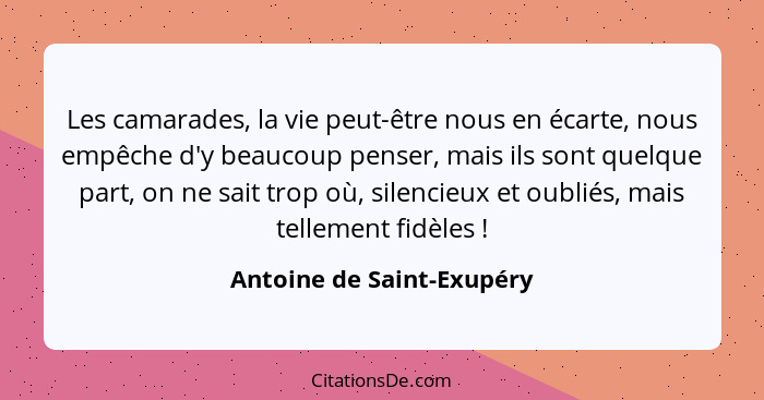 Les camarades, la vie peut-être nous en écarte, nous empêche d'y beaucoup penser, mais ils sont quelque part, on ne sait tr... - Antoine de Saint-Exupéry