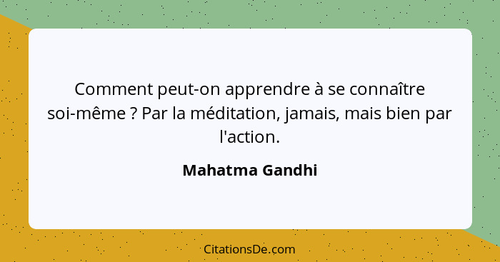 Comment peut-on apprendre à se connaître soi-même ? Par la méditation, jamais, mais bien par l'action.... - Mahatma Gandhi