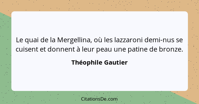 Le quai de la Mergellina, où les lazzaroni demi-nus se cuisent et donnent à leur peau une patine de bronze.... - Théophile Gautier