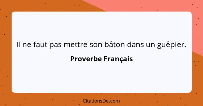 Il ne faut pas mettre son bâton dans un guêpier.... - Proverbe Français