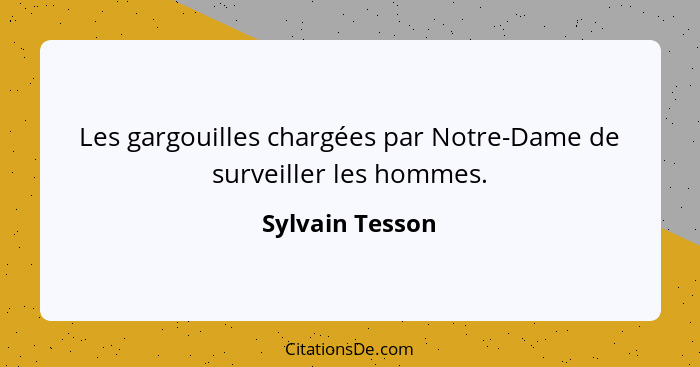 Les gargouilles chargées par Notre-Dame de surveiller les hommes.... - Sylvain Tesson