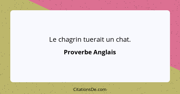 Le chagrin tuerait un chat.... - Proverbe Anglais