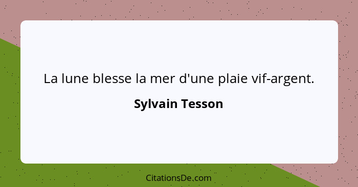 La lune blesse la mer d'une plaie vif-argent.... - Sylvain Tesson