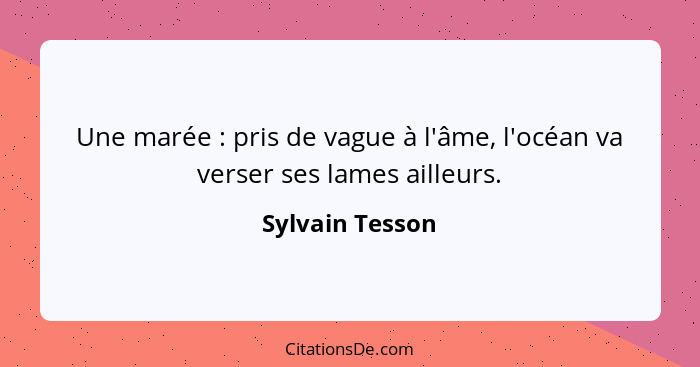 Une marée : pris de vague à l'âme, l'océan va verser ses lames ailleurs.... - Sylvain Tesson